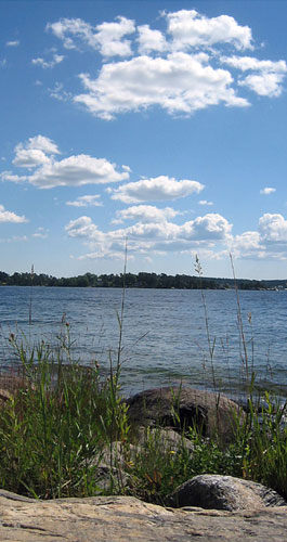 ledningssystem för kvalitet och miljö